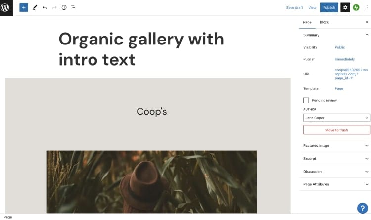 Creating a website on WordPress